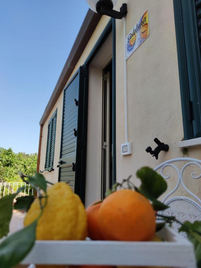 Villa Martino Apartments Cefalu Bagian luar foto
